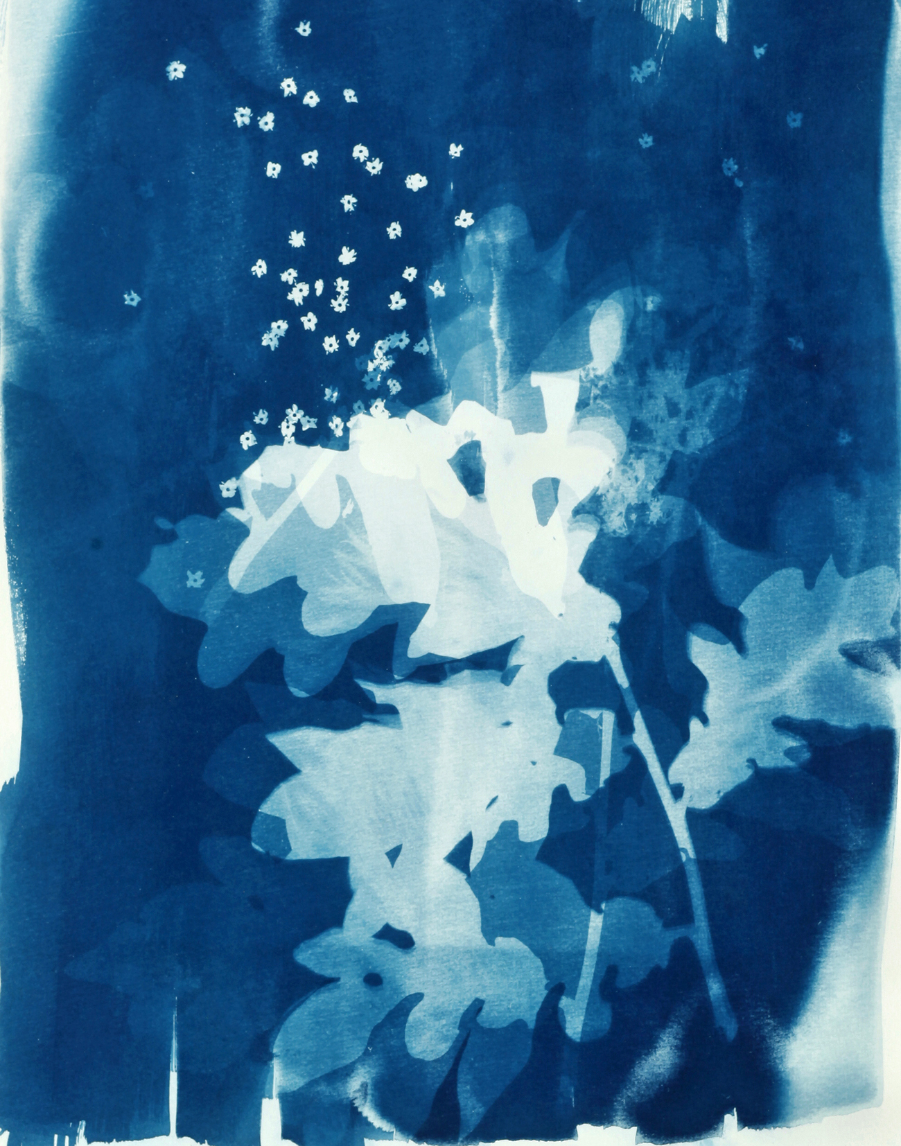 Klassenprojekt_Cyanotypie