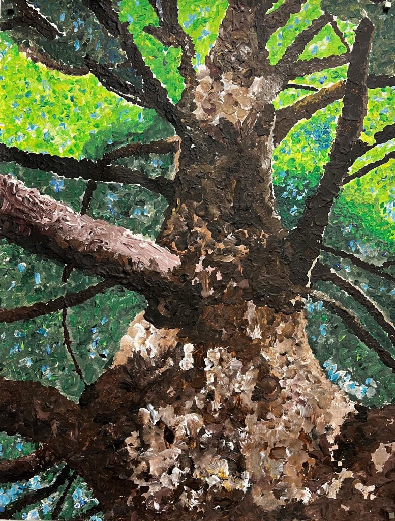 1. Preis 14-16 Jahre - Frederik Bär_Acrylmalerei