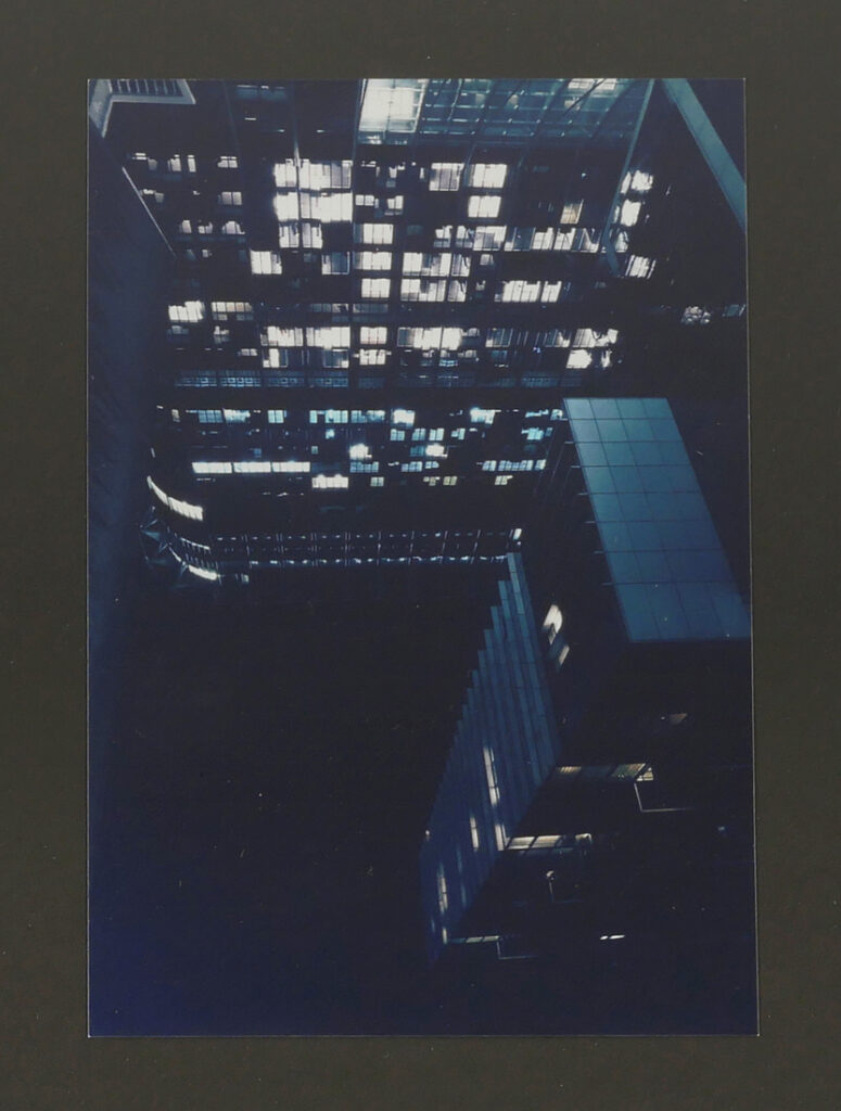 Theo Pavez Galvez „How to cook a Chicken“